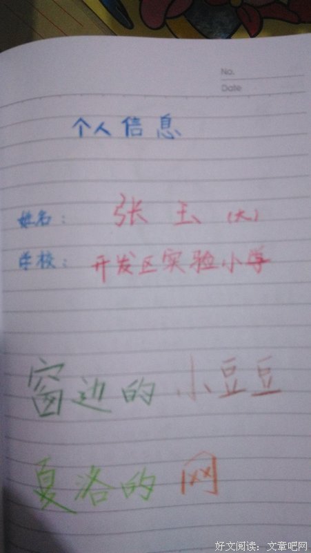 天才赢在注意力读后感100字