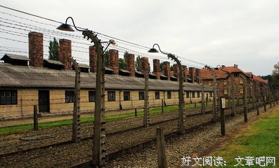 《奥斯维辛的药剂师》的读后感大全