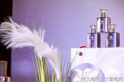 描写丽芬的语句摘抄