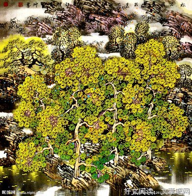 关于叶寒名言名句