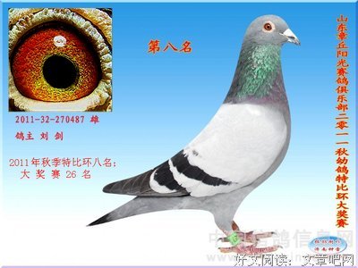 阳光普照丨失衡的父子关系，“拧巴”的爱与和解