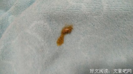 为摆脱婆婆，我叫来亲妈，却成了夹心饼干