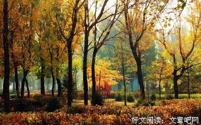 秋一西是的句集好词好句