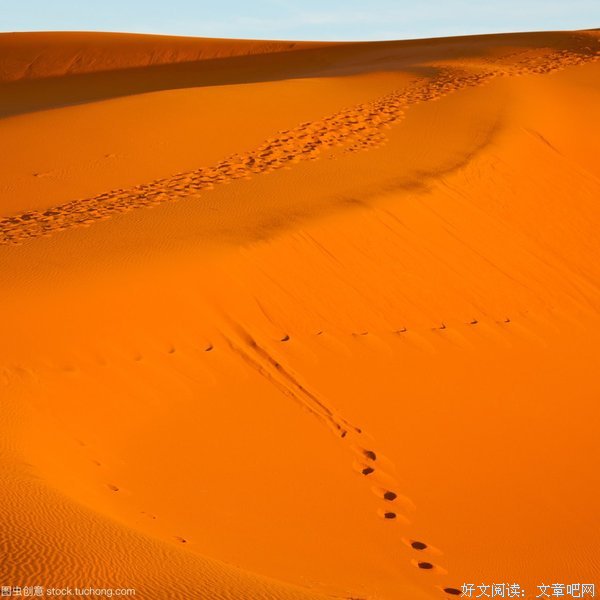 寂寞个样有语 