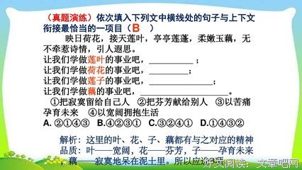完美句子大全