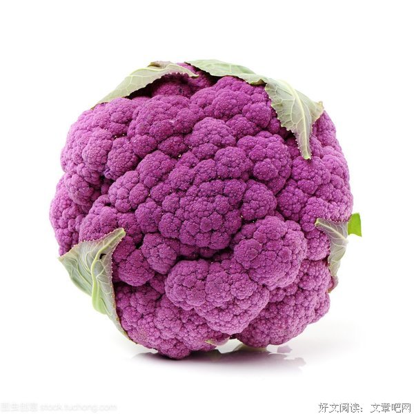 关于叶紫的名言