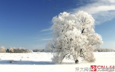 只自只自优美的句子