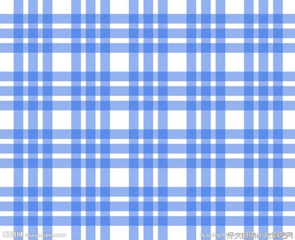 最新的蓝白格子精彩语录