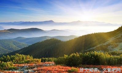 随性经典的句子
