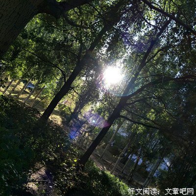 有关梦暖落夕年的句子