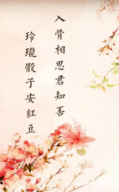 红玫瑰与白玫瑰的读后感大全