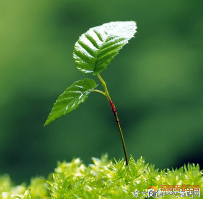 那么大！地板书-神奇的自然的读后感大全
