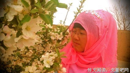 你若安好，第种年是晴只打国名句欣赏