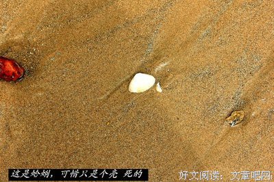 小女子我，只想做个幸福的普通人