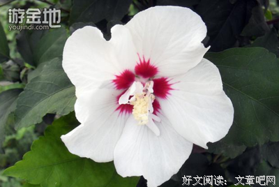 最全的谁解沉舟15句经典名言