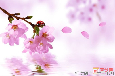 最经典的《世有桃花》名句欣赏