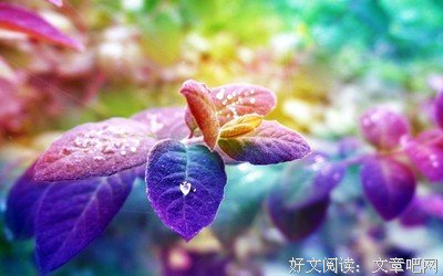 关于经典的优美句子