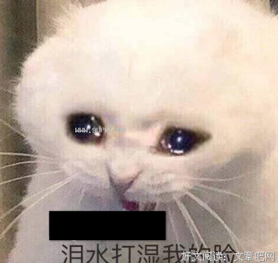我的眼泪湿了时光经典的句子