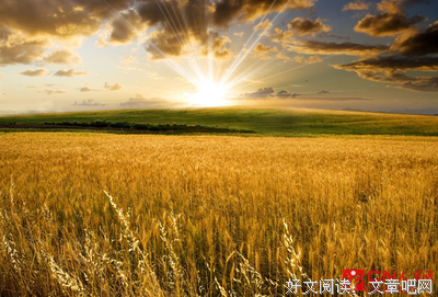 改变能改变的，接受不能改变的