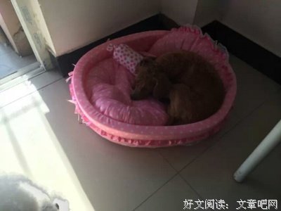 《顶顶样眼子说孩不看我怀孕》的句子