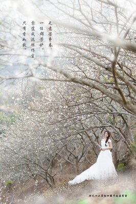 花开半亩名句欣赏