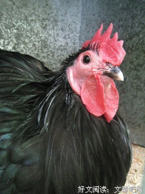 有关么静的美句摘抄