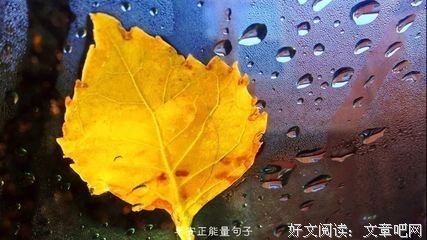 关于后们得发的唯美语录