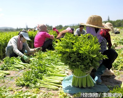 “复工之后，我慌了”：普通人挣钱的底气，都是专业给的