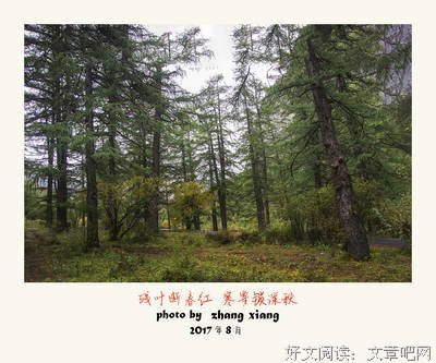 有关罢了罢了春红断了的句子