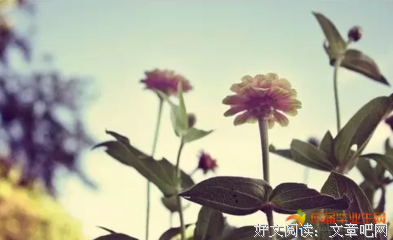 心酸优美的句子