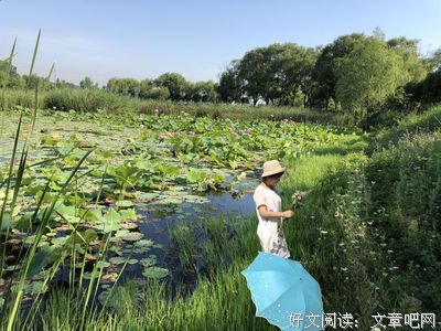 浣溪沙好词好句