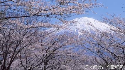 《天外种些才觉和》的句子