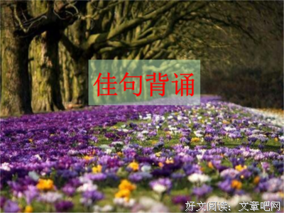 英语佳句