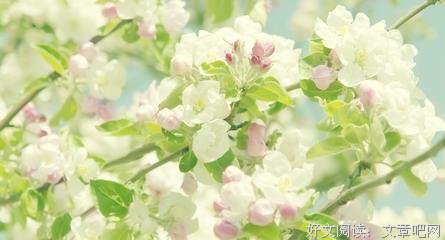 唯美诗词