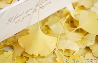 《爱的雨露》的句子