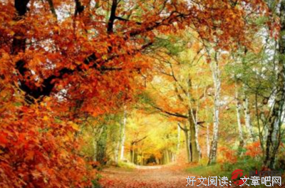 当年优美的句子