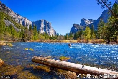 收藏者经典的句子