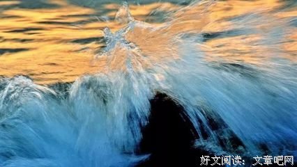 一切都在孤独里成全：叔本华的人生智慧读后感锦集