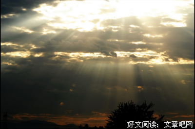凋零与绽放