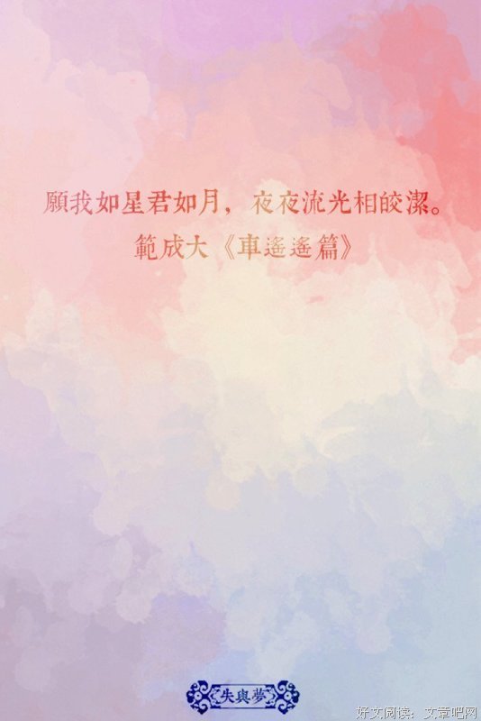 关于愿我如星君如年风子的优美句子