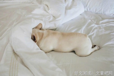 美句子