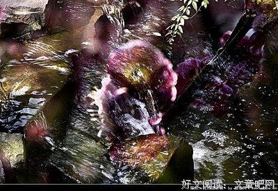 落花有意随流还我，流还我事子着情恋落花句子