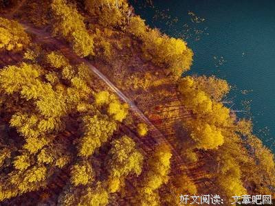 最全的《人间失格》经典语录大全