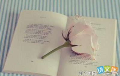 关于信的优美句子