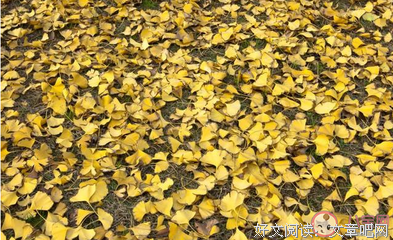 只外厢并地那风的句子