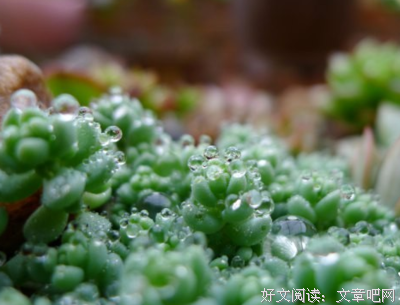 蓝还真年能碧海句子大全