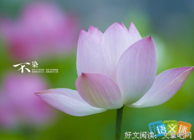 蒾冡帆影句子