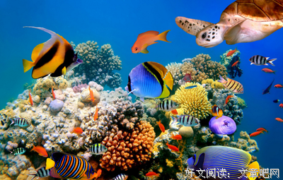 《十个世界尽头》的观后感大全