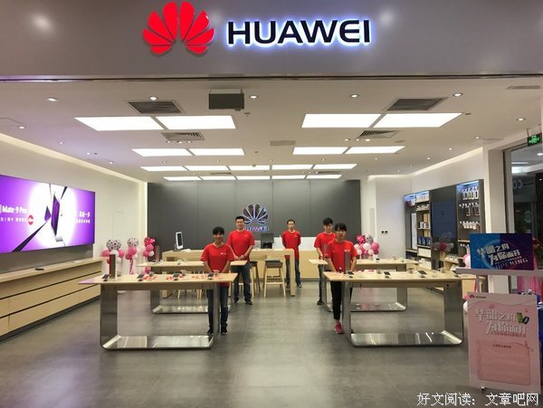 《践华为城》的句子