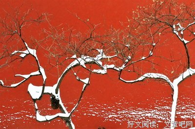 映雪句子